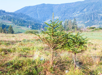 Similar image 543635