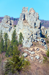 Similar image 543638