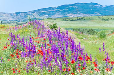 Similar image 543649