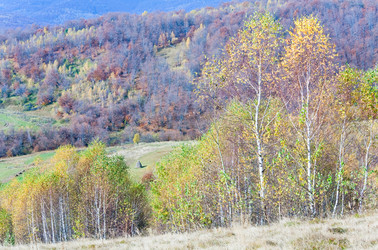 Similar image 543662