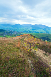 Similar image 543664