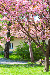 Similar image 543701