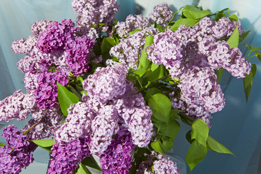 Similar image 543734