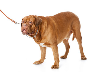 Similar image 543787