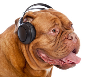 Similar image 543792