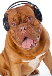 Similar image 543797