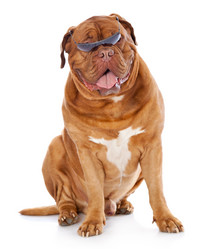 Similar image 543808