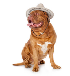 Similar image 543810