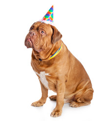 Similar image 543812