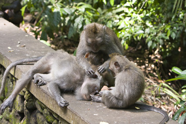 Similar image 543857