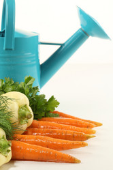 Similar image 543947