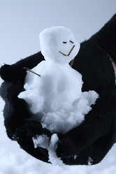 Similar image 543963