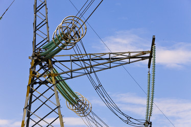 Similar image 544003