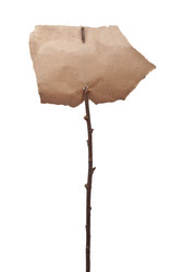 Similar image 544040