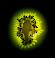 Similar image 544149