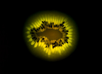 Similar image 544150