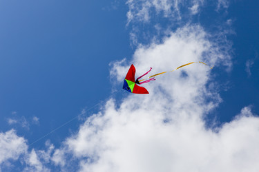 Similar image 544240