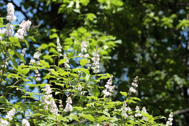 Similar image 544252