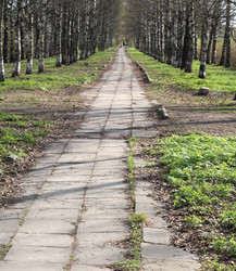 Similar image 544305