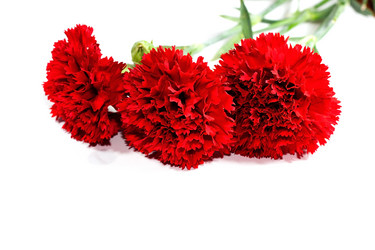 Similar image 544374