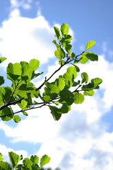 Similar image 544393