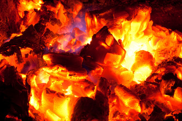 Similar image 544417