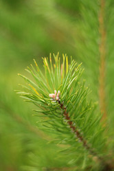 Similar image 544472