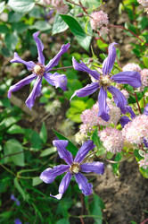 Similar image 544473