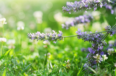 Similar image 544478