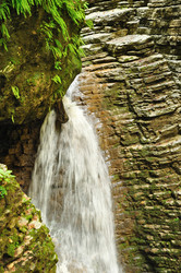 Similar image 544479