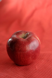 Similar image 544497