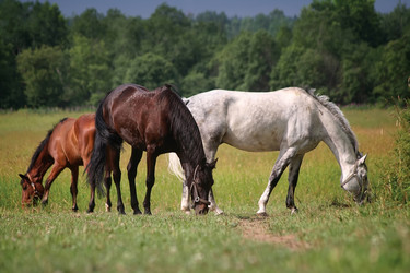 Similar image 544533