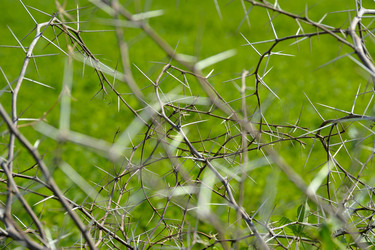 Similar image 544570