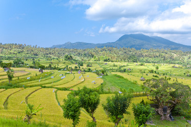 Similar image 544585