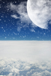 Similar image 544734