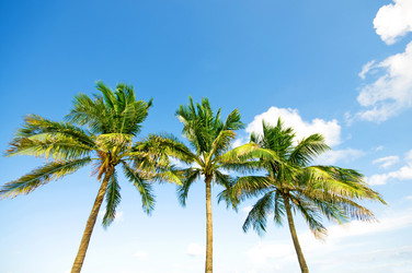 Similar image 544738