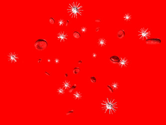 Similar image 544783