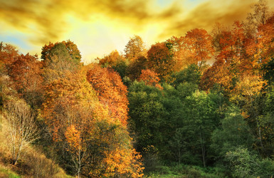 Similar image 544797