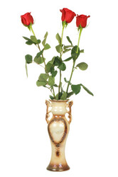 Similar image 544823