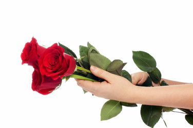 Similar image 544825