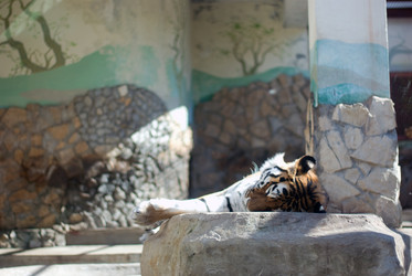 Similar image 544826