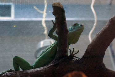 Similar image 544829