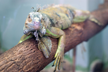 Similar image 544831