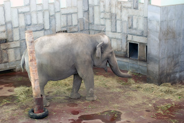 Similar image 544836