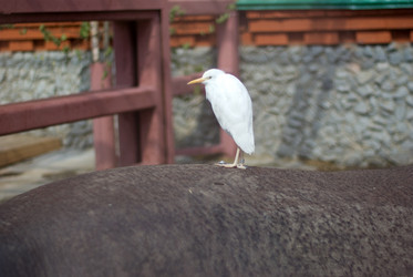 Similar image 544837