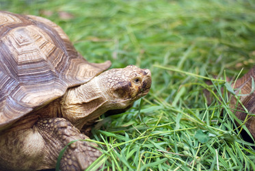 Similar image 544839