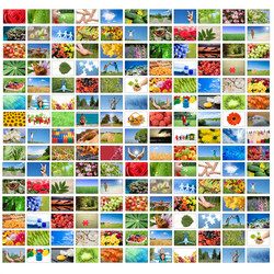 Similar image 544873