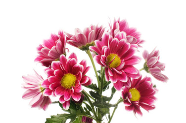 Similar image 544900