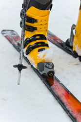 Similar image 544988