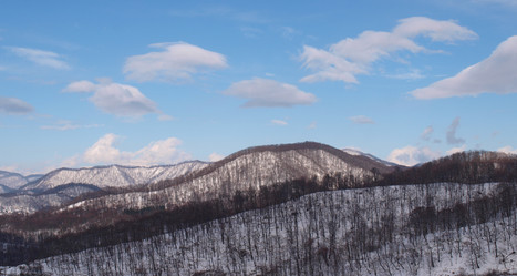 Similar image 544992